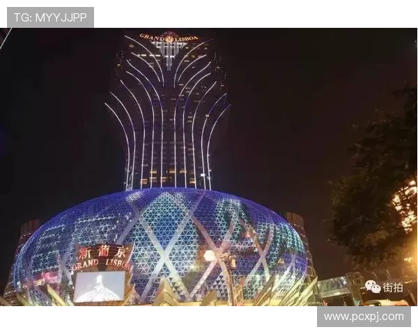 澳门新葡京正规网址登录遇到问题怎么办快速解决方案全攻略