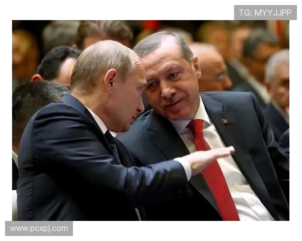 新普京人下载网址安全可靠，提供完整的软件下载和安装教程