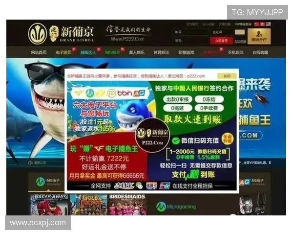 新葡京app网址官方最新更新版本安全可靠的登录入口指南