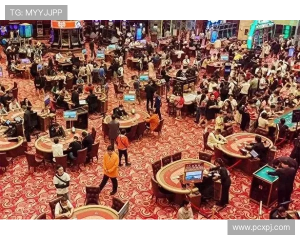 新葡京赌场官网：平台技术支持与客户服务体系全面解析