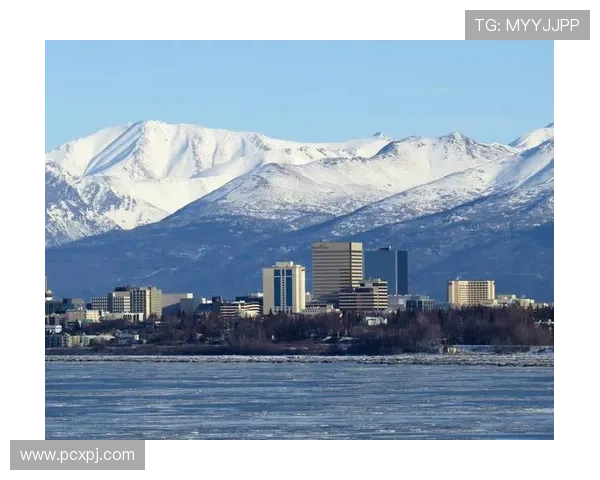 新普京在哪个国家或城市，全面解读普京近期的行程安排与位置变化