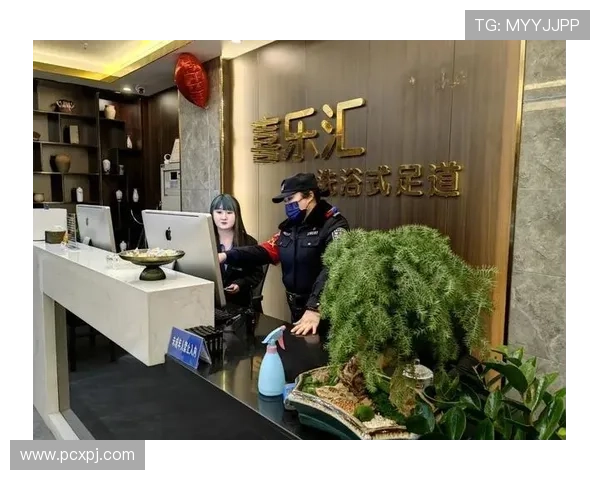 娱乐场所归公安哪个部门管理的详细职责与具体划分解析 娱乐场所归公安哪个部门管理的详细职责与具体划分解析