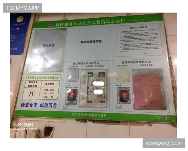 新葡京平台网页版安全可靠保障玩家资金与信息安全的详细措施介绍